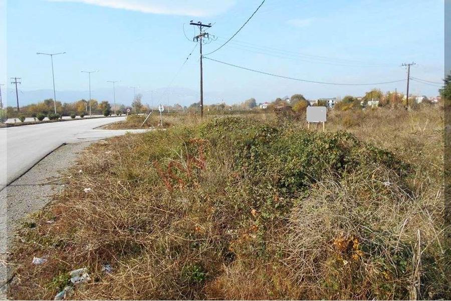 (Πώληση) Οικόπεδο || Καρδίτσα, Κέντρο - 510τ.μ., 50000€